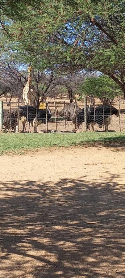 Ombo Rest Camp Hotel Okahandja Exterior photo